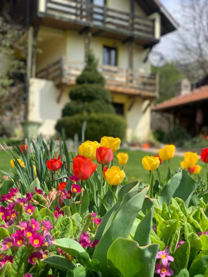 Vila Djordjevic - Priroda Vas Okruzuje Brus Kültér fotó