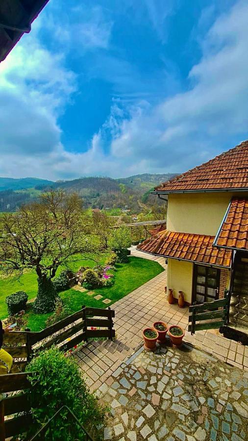 Vila Djordjevic - Priroda Vas Okruzuje Brus Kültér fotó